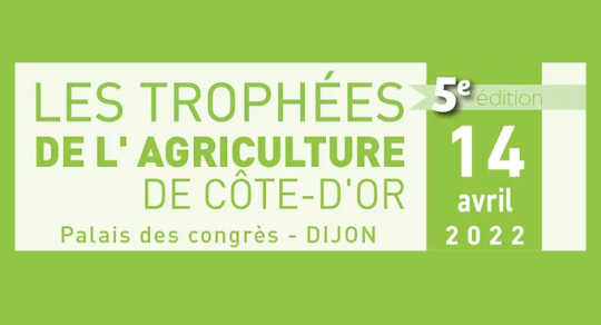 Groupe défilant 5.png