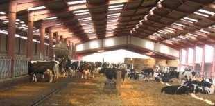 Bâtiment d'élevage