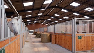 Haras de Saint Pierre