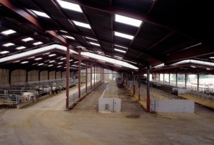 Bâtiment avec aire paillée